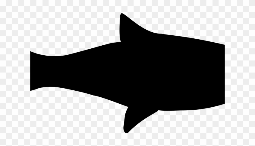 Fish Graphic - Cartilaginous Fish #1068657