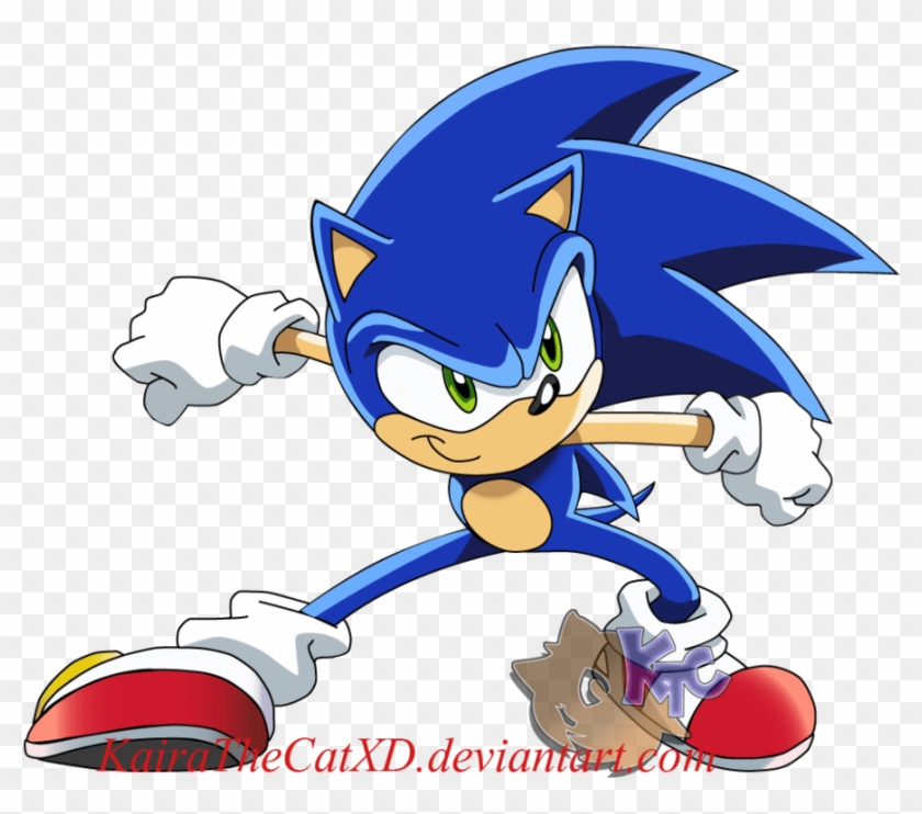 What Is An X'er - Sonic X Sonic The Hedgehog #1068923