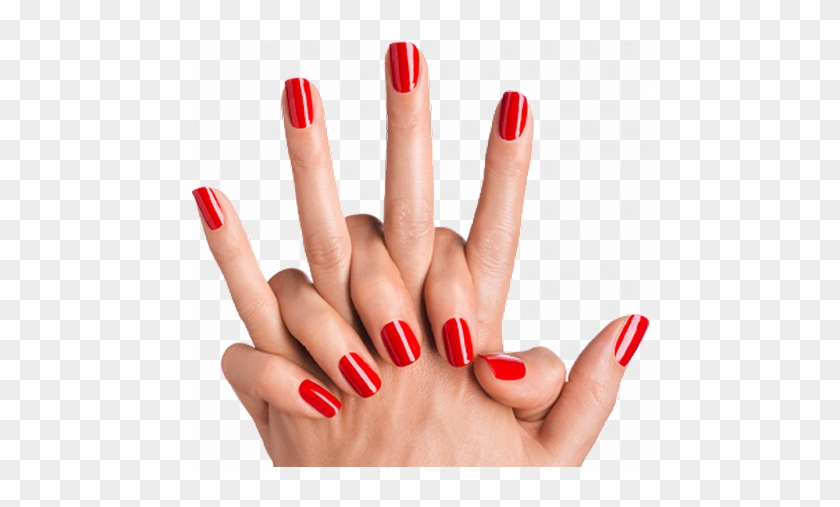 Book The - Transparent Background Nail Png #1068943