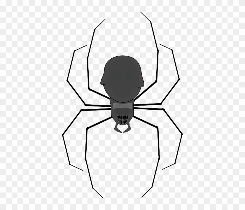 Cartoon, Spider, Bug, Web, Walk, Insect, Spiders - Spider Clip Art #1068978