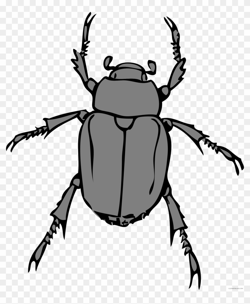 Amazing Bug Animal Free Black White Clipart Images - Beetle Bug #1068988