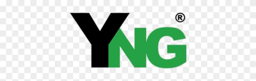 Young Network Group - Registrado #1069050