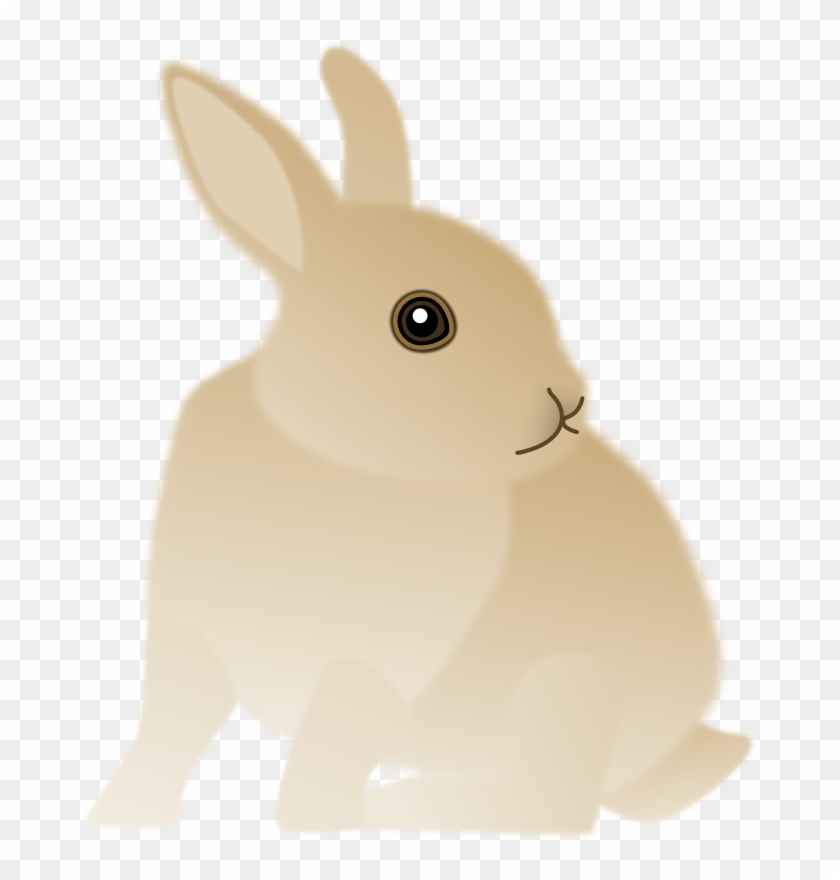 Medium Image - Domestic Rabbit #1069118