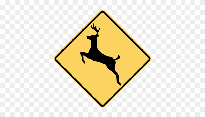 How Do They Get Deer To Cross The Road Only At Those - Run Like An Antelope #1069170
