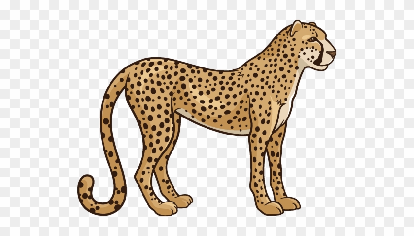 Cheetah Clipart Transparent - Cheetah Clipart #1069431