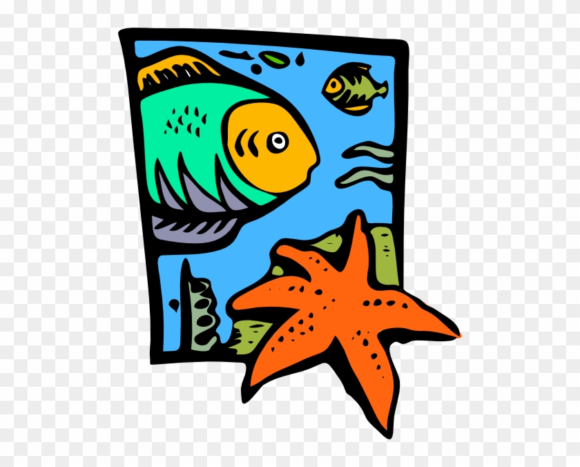 Fish Marine Life Starfish Clip Art At Clker Com Vector - Ocean #1069876
