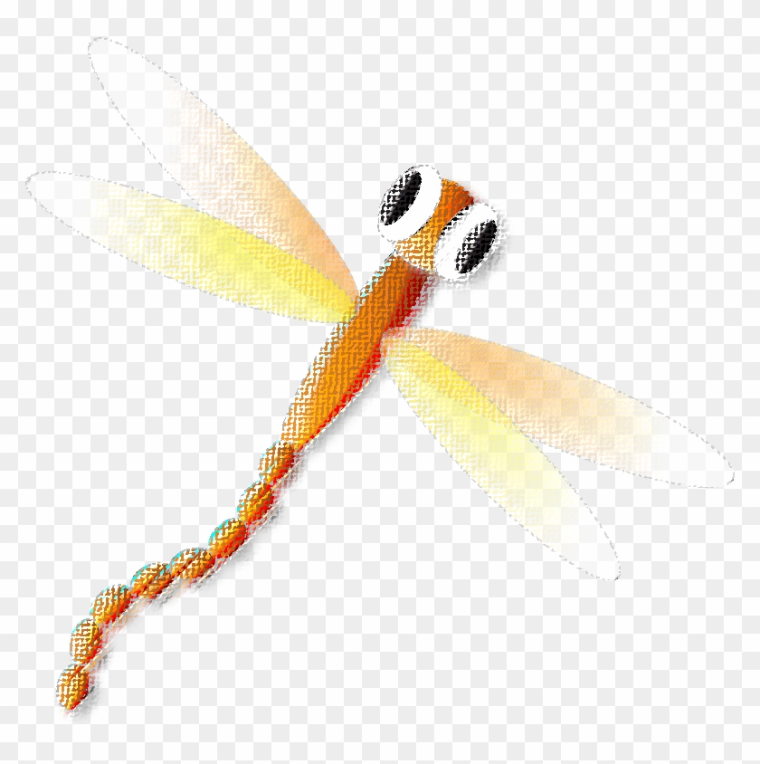 Dragonfly #1069950