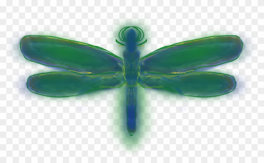 Dragonfly #1069979