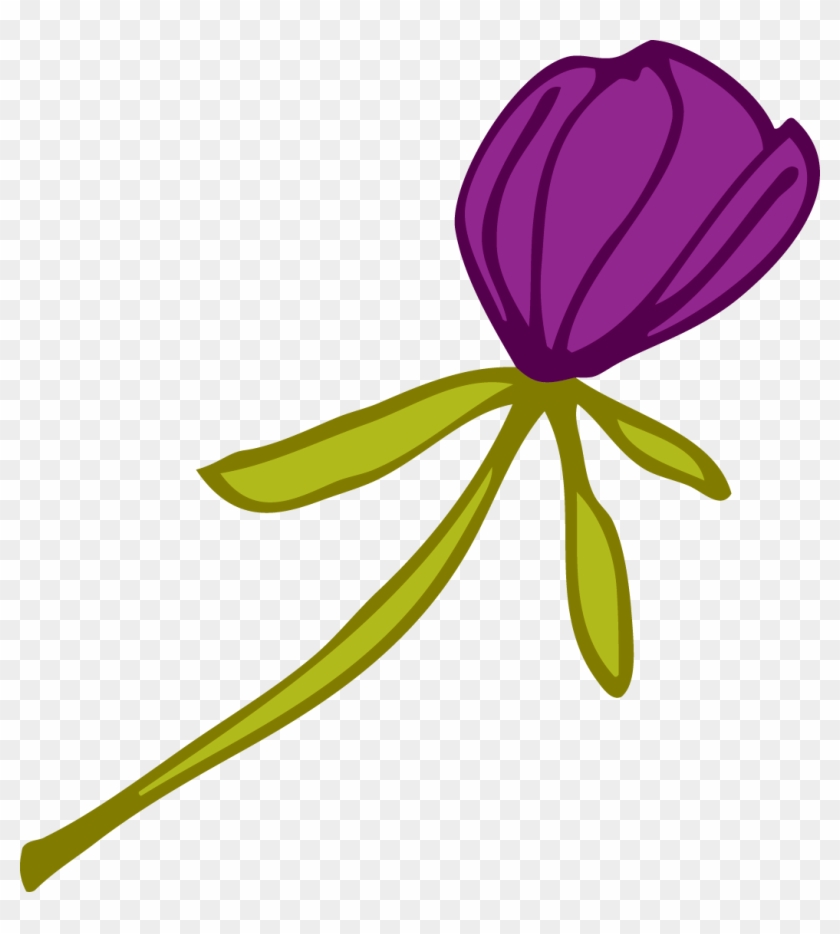 Purple Tulip - Purple Tulip #1070066