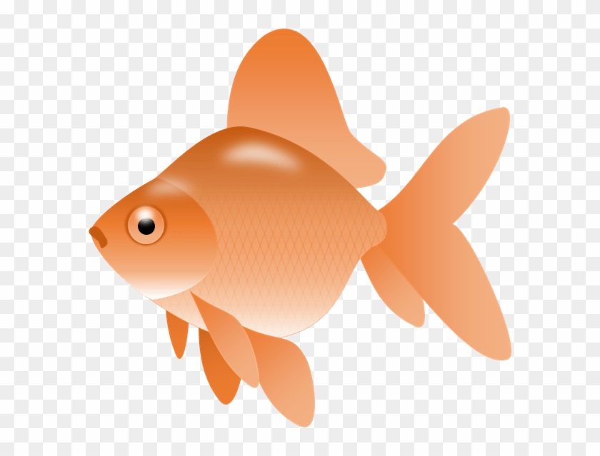 Gold Fish Clipart - Fish Clip Art Png Transparent #1070283