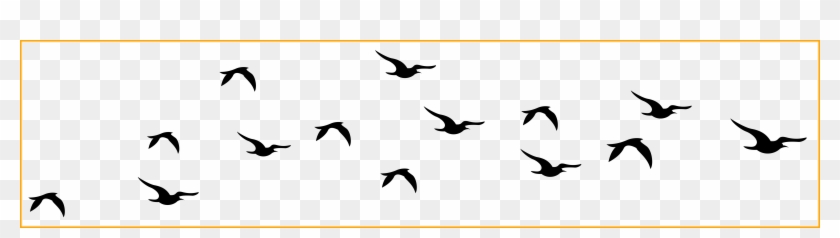 Best Flying Silhouettes Transparent Png Clip Art Image - Transparent Background Birds Clip Arts #1070656