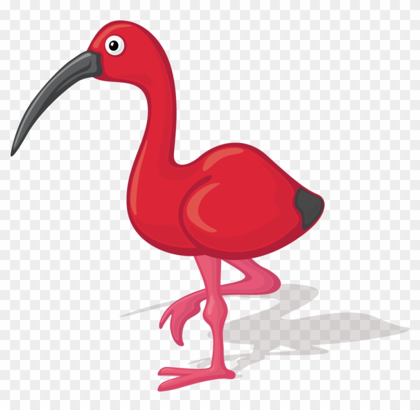 Bird Ibis Cartoon Illustration - Illustration Ibis #1070887