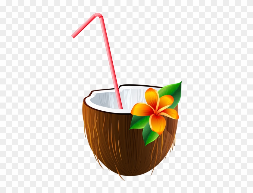 Gallery - Coconut Cocktail Png #1070906