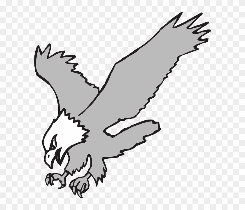 Hunting Eagle, Bird, Color, Wings, Art, Hunting - Eagle Clipart Black And White #1071091