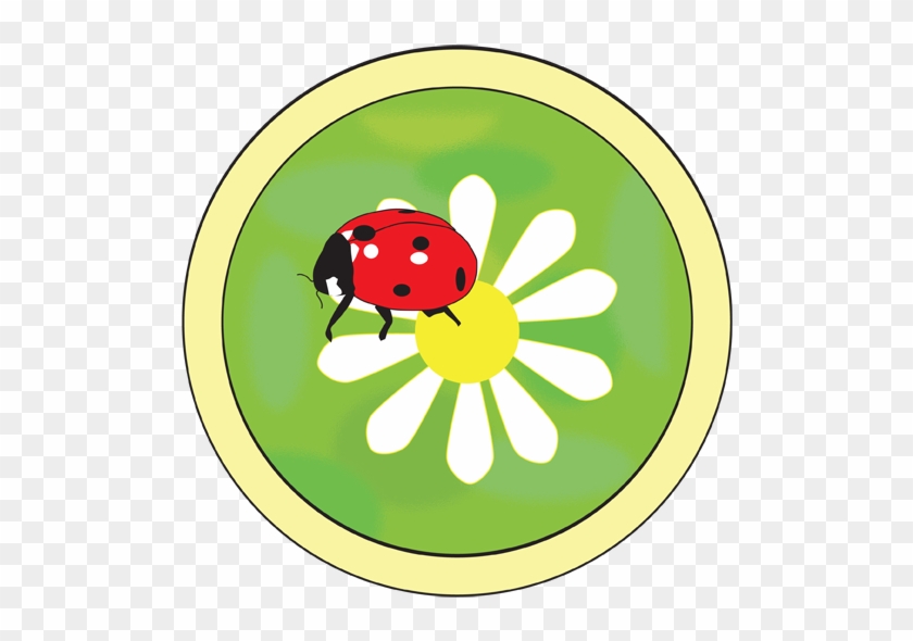 Ladybug Quilt Pattern - Ladybug Quilt Pattern #1071399
