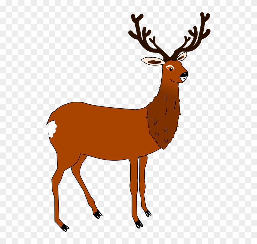 Collection Of Deer Hunting Clipart - Best Gift - Antler 34567 Jr Raglan Hoodie/t-shirt/mug #1071990