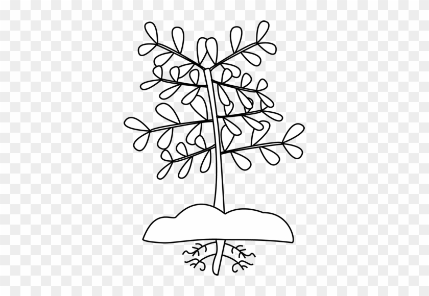 Black And White Plant With Roots - Plant Black And White Clipart #1072170