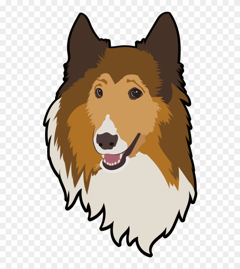 Collie - Collie #1072171
