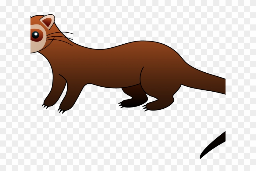 Ferret Clipart Weasel - Black Footed Ferret Clipart #1072281