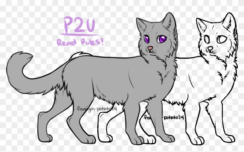 Cat Bases For Firealpaca #1072288