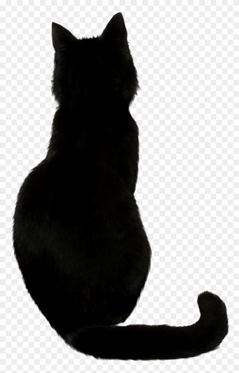 Image - Black Cat Drawing #1072293