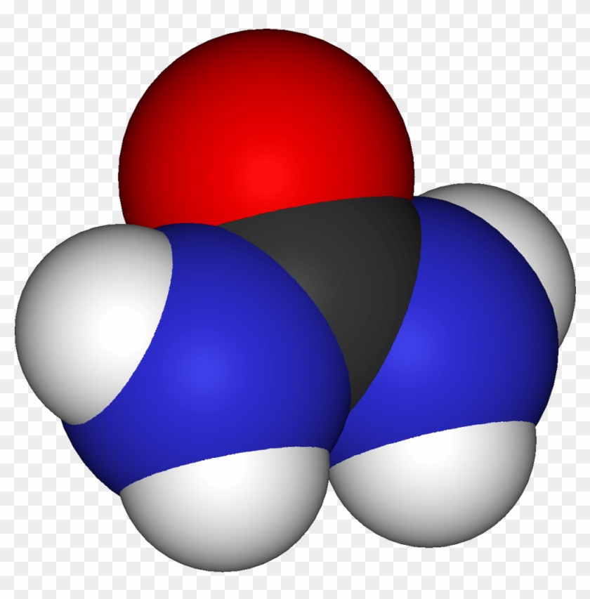 Urea, As In Urine - Urea Formula #1072295