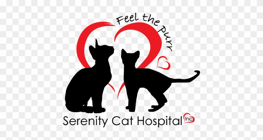 Serenity Cat Hospital #1072323