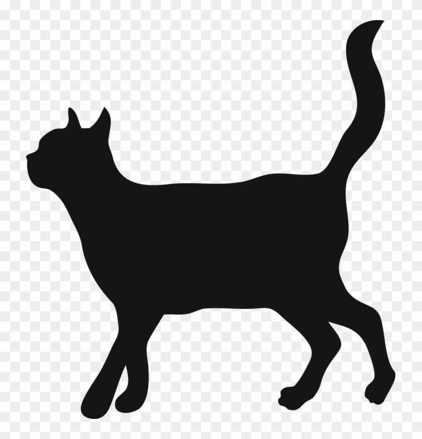 Silhouette Of Adult Cat Walking - Cat #1072387