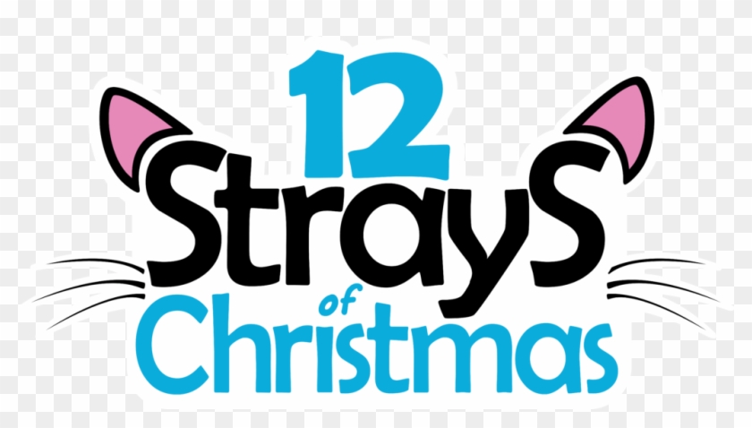 12 Strays Of Christmas - 12 Strays Of Christmas #1072386