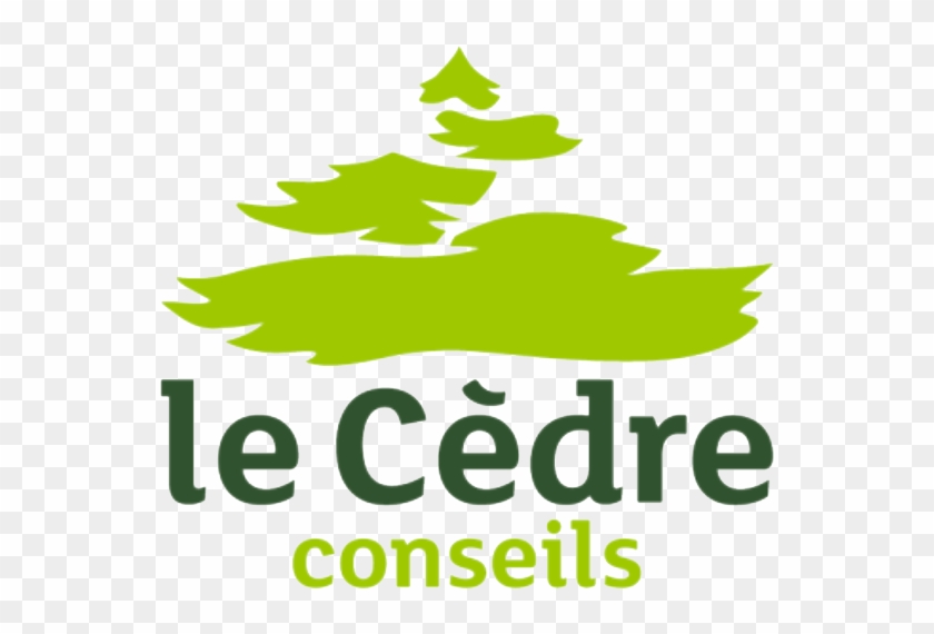 Assurance Scolaire Et Extrascolaire Notre Dame - Le Cedre #1072569