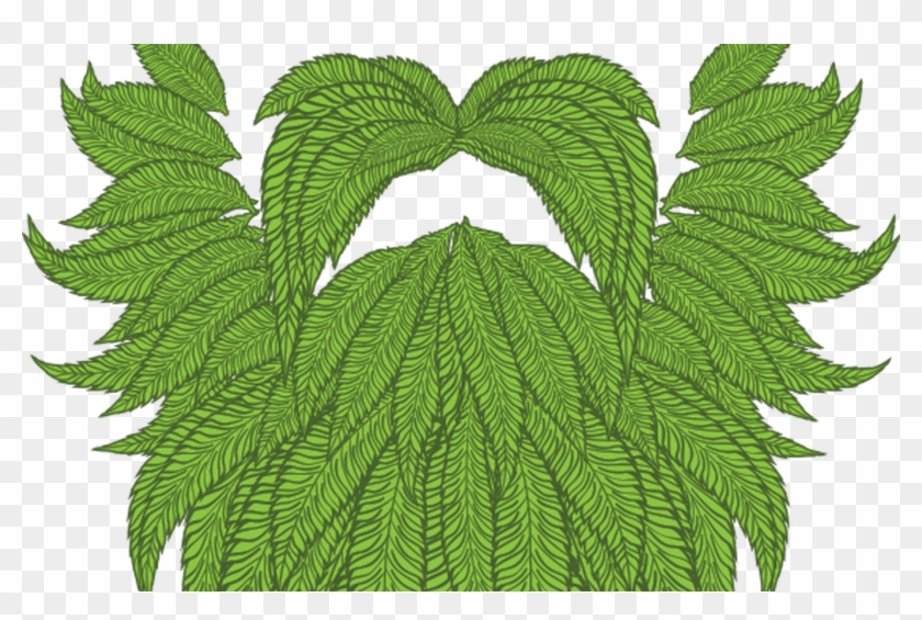 Origens Cannabis Home Of Daddy Fat Sacks Spokane Washington - Origens Cannabis Home Of Daddy Fat Sacks Spokane Washington #1072758