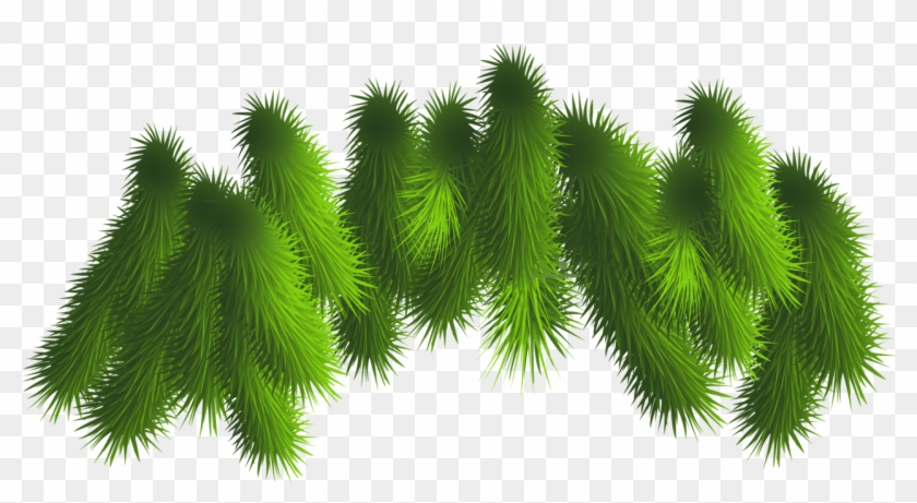 Awesome Evergeen Branches Clipart Png Transparent Background - Christmas Tree Branch Clip Art #1072798