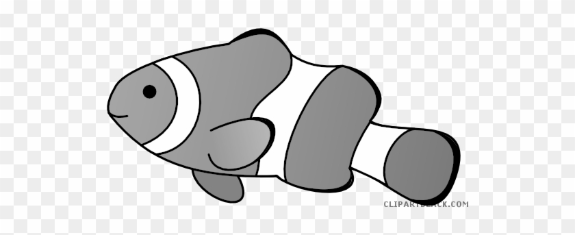 Clownfish Animal Free Black White Clipart Images Clipartblack - Clown Fish Drawing #1072802