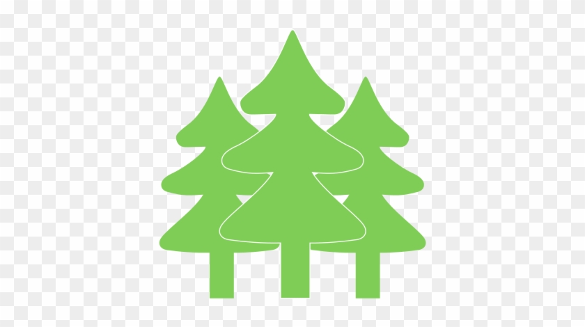 Natural Pine Trees - Royalty-free #1072868