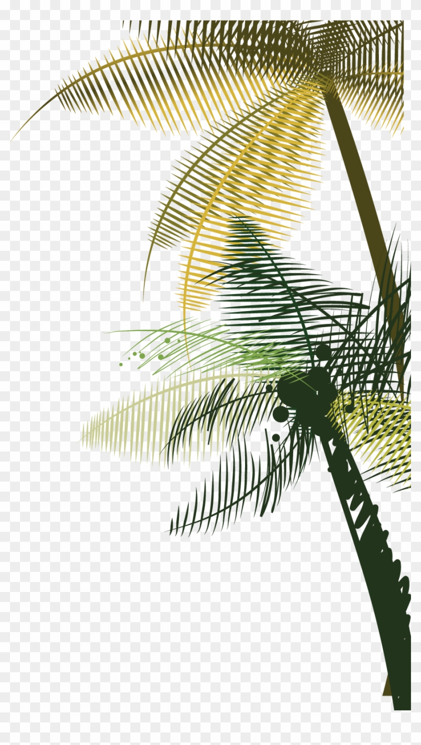 Coconut Tree Euclidean Vector - Palm Tree Background #1072914