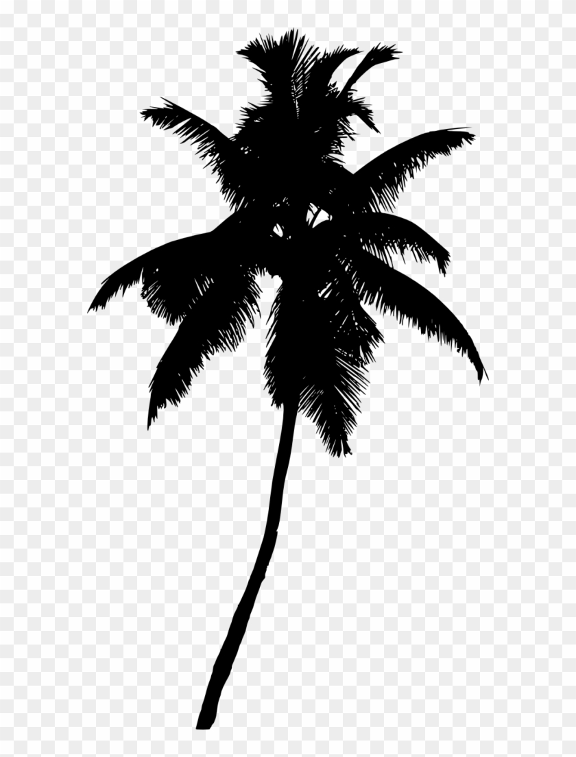 Palm Tree Silhouette Png - Portable Network Graphics #1072936