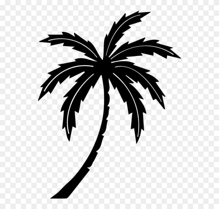 Palm Tree Graphic - People's National Congress Guyana #1072938