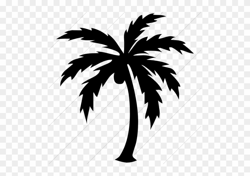Island, Palm, Trees Icon - Black And White Palm Tree #1072943