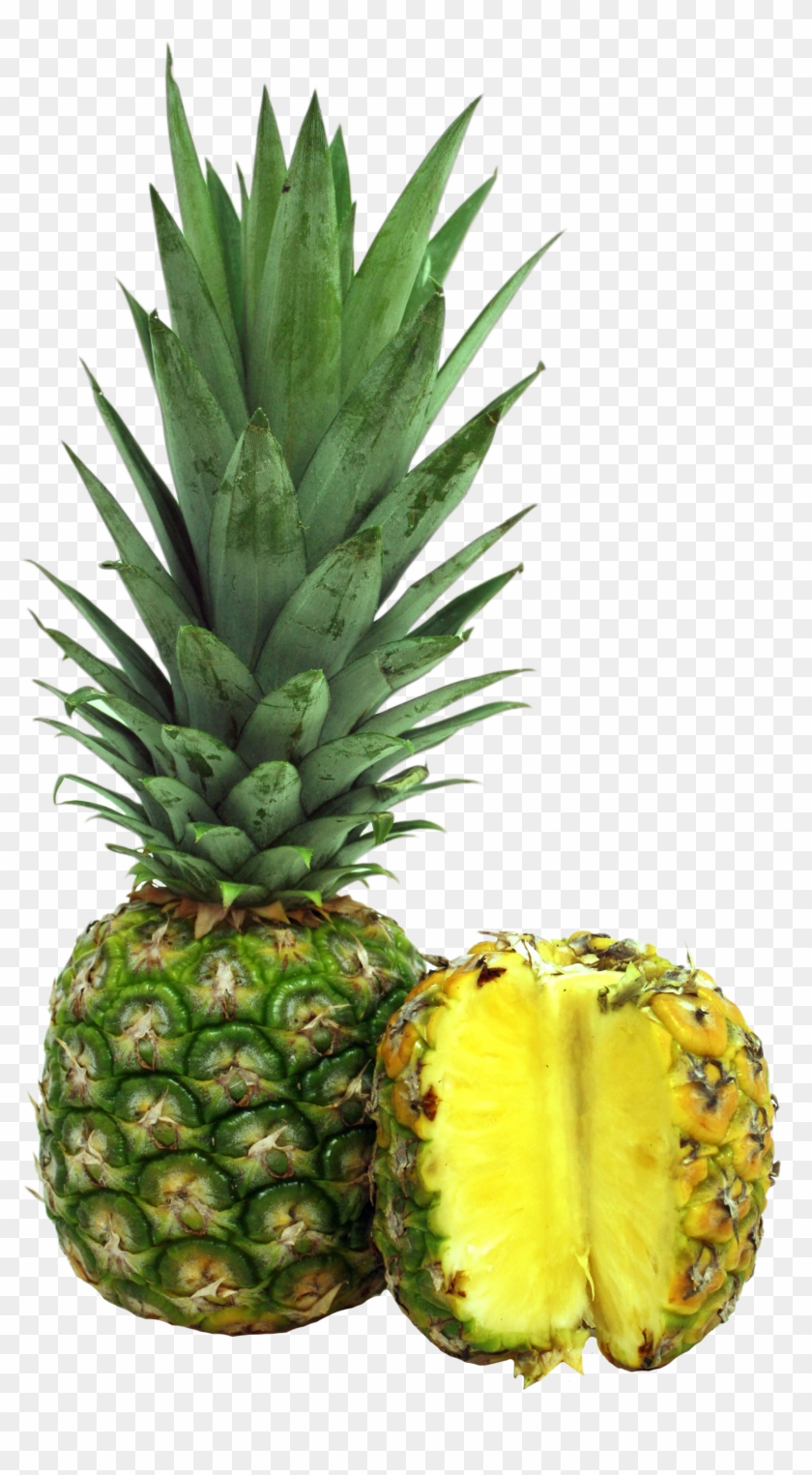 Mengikut Sejarah, Christopher Columbus, Penjelajah - Pineapple #1072993