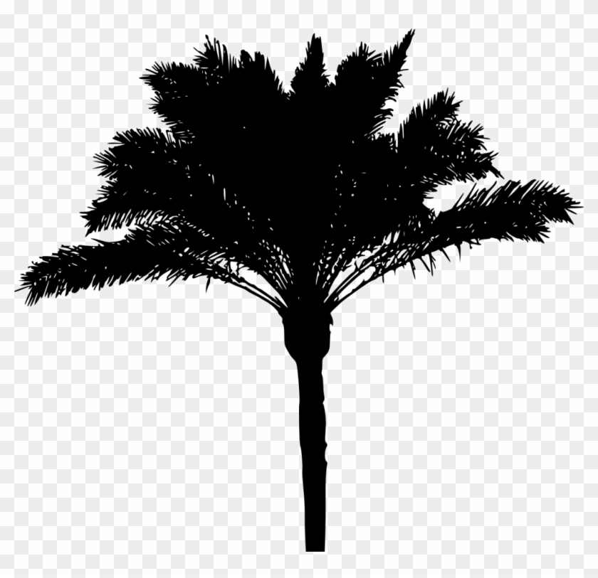 1223 × 1500 Px - Palm Tree Png Transparent #1072998