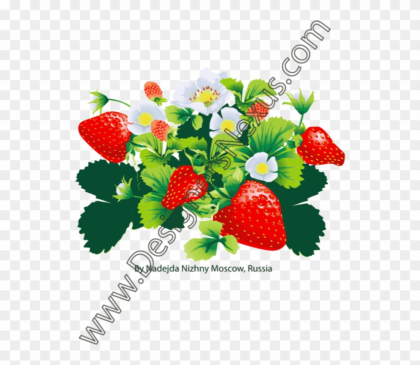 Grape Vine Clipart Etc Image - Clip Art #1073306