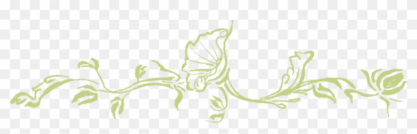 Sketch Vines Png #1073368