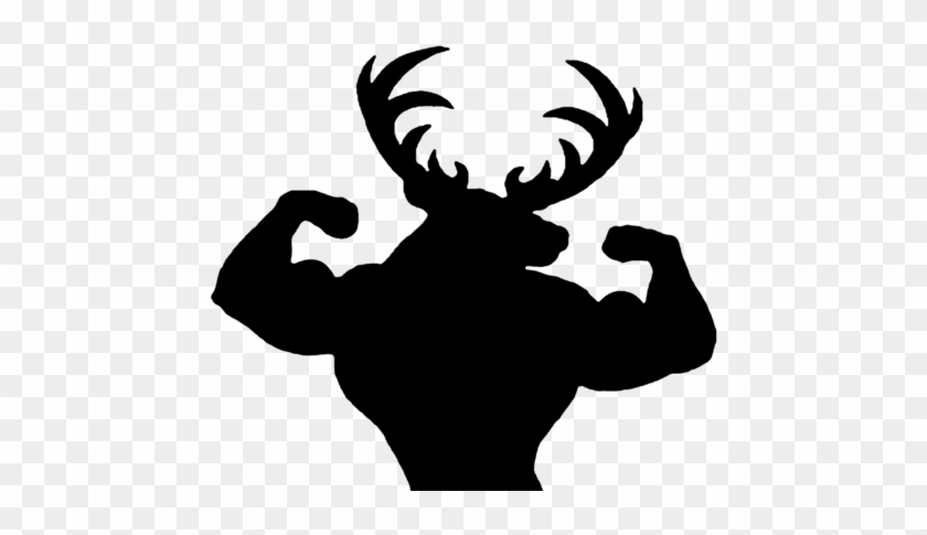 Tahoe Show - Wired2fish #1073468