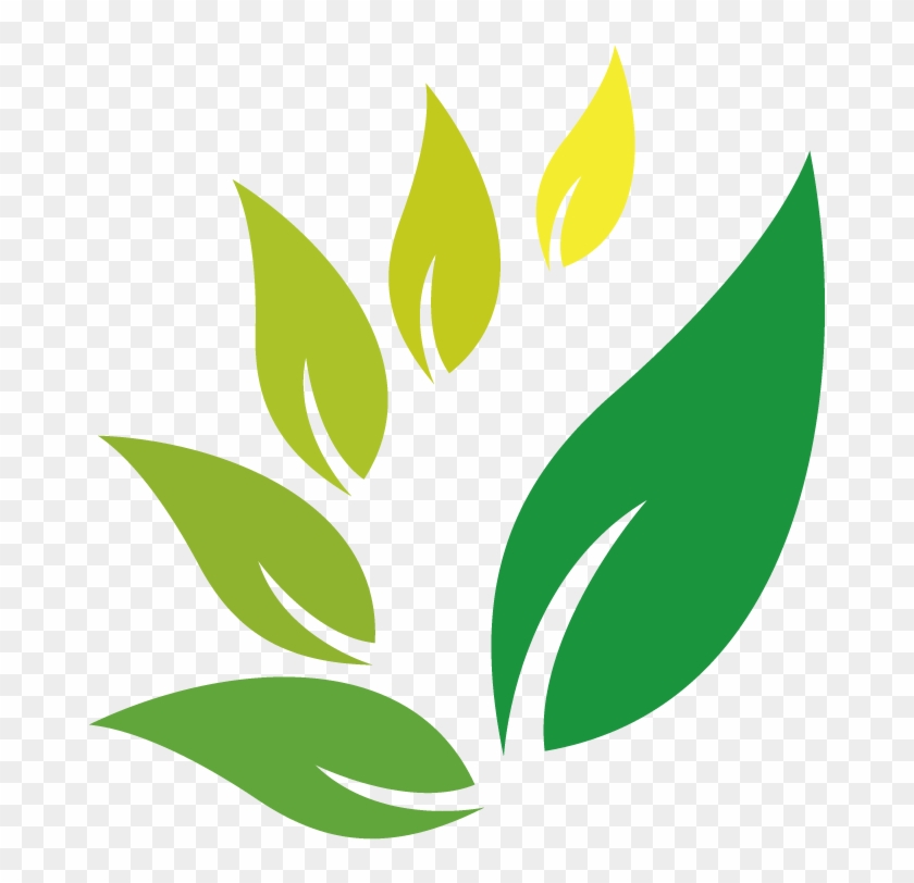 Herb Jamu Logo Indian Jujube - Logo Herbal Png #1073534