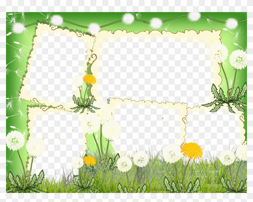 Frame Photo Nature Png #1073644