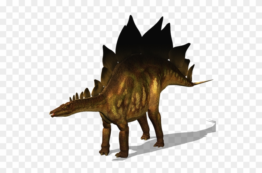 Stegosaurus - Walking With Dinosaurs Stegosaurus #1073731