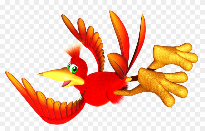 Kazooie #1073848