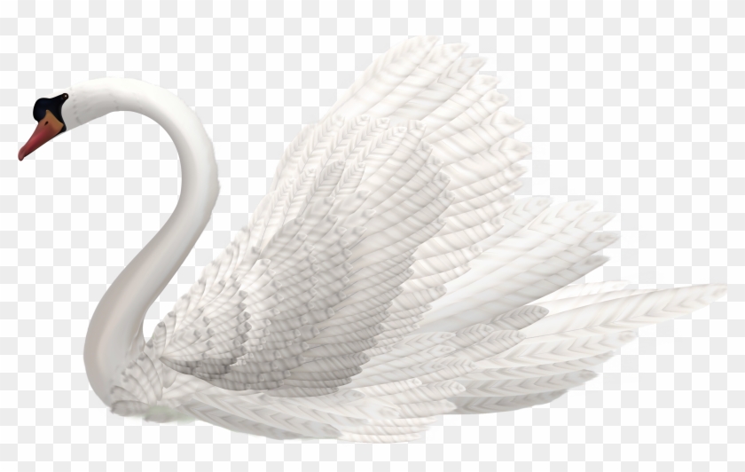 White Swan Clipart Image The Clipart - Swan Png #1074049