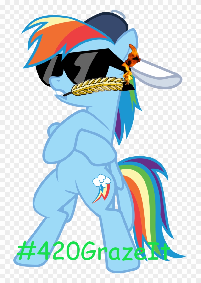 Uploaded - Rainbow Dash Swag #1074076