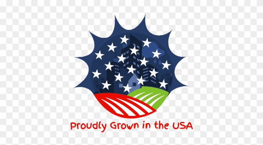 Flag Of The United States #1074098